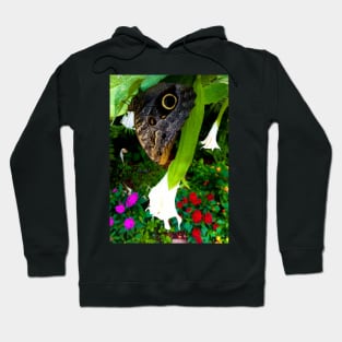 Butterfly in Trumpet Flower Hoodie